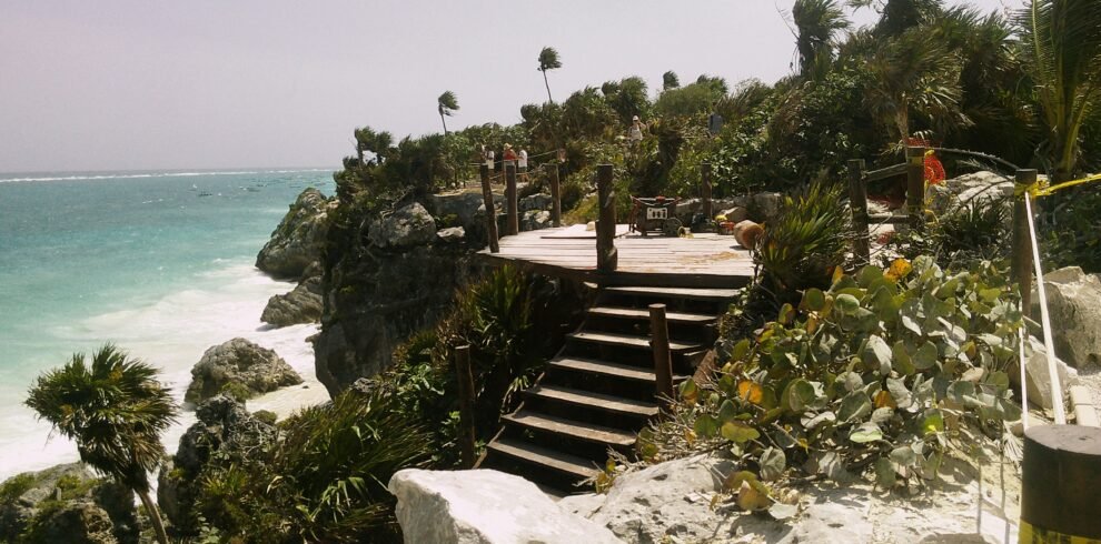 crimson canna 5Wz mKBJnyg unsplash