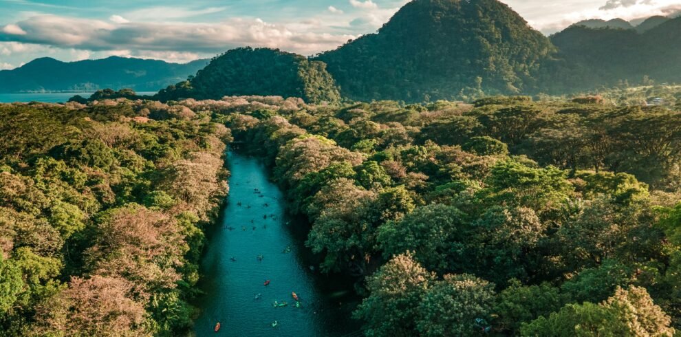 hector emilio gonzalez 19l 3uvPedY unsplash