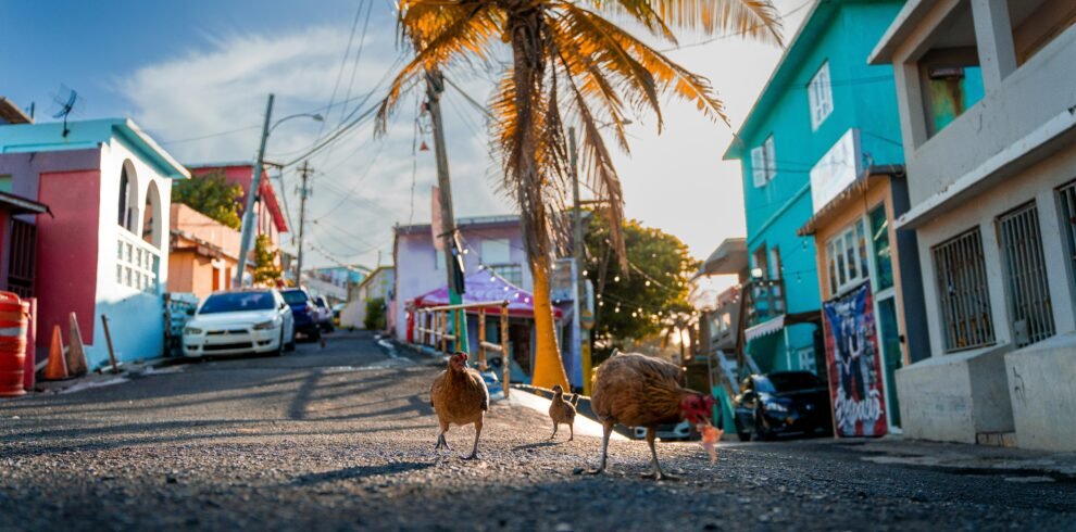 nils huenerfuerst 7wBRyl0X N8 unsplash