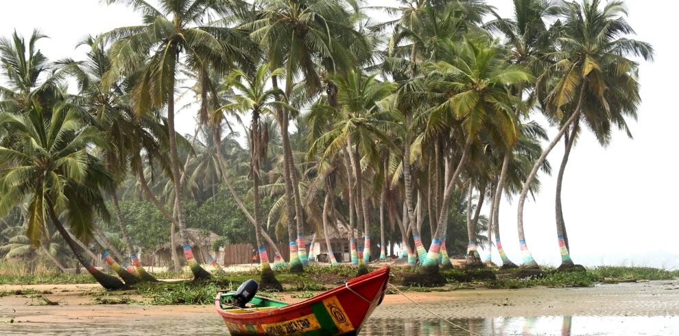 yoel winkler zCAh6tOWFt8 unsplash